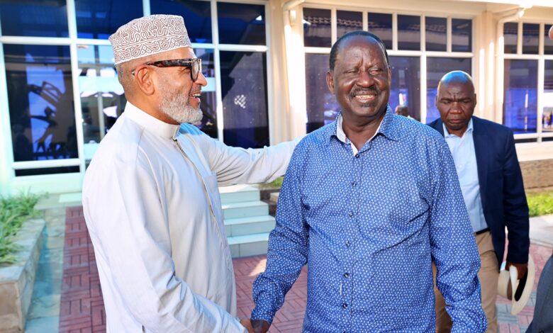Mombasa Governor Abdulswamad Nassir has made strong comments about trouble inside his party. He spoke about a serious ODM party internal conflict during a recent public event. The governor is a loyal supporter of party leader Raila Odinga. He used very tough words to describe some party members he disagrees with. His statement has sparked a big discussion in Kenyan politics. Governor Nassir gave a direct Abdulswamad Nassir warning to certain individuals within the Orange Democratic Movement. He compared them to "ticks" that want to suck blood from within the party. A tick is a small insect that survives by taking blood from animals. This means he sees these members as harmful and only serving their own interests. He warned that they are damaging the party's unity and strength. The governor strongly defended the Raila Odinga legacy and the party's founding principles. He reminded everyone that "Raila did not die for ODM to remain in opposition." This means that the party leader has fought for many years for the party to gain power. Nassir argued that internal fighting betrays that long struggle. His message was that personal agendas should not hurt the party's main goal. Nassir did not name the specific members he was talking about. However, his frustration is clear. There have been reports of disagreements within ODM about its direction and strategies. The governor believes such public criticism from inside is very destructive. He stated clearly that those causing division should be the ones to leave the party. This strong statement highlights the tensions within one of Kenya's major political parties. As the country looks toward future elections, party unity becomes very important. Governor Nassir's comments show he will fiercely challenge anyone he sees as undermining the ODM. The situation will test the party's ability to manage internal debates and present a united front to the public.